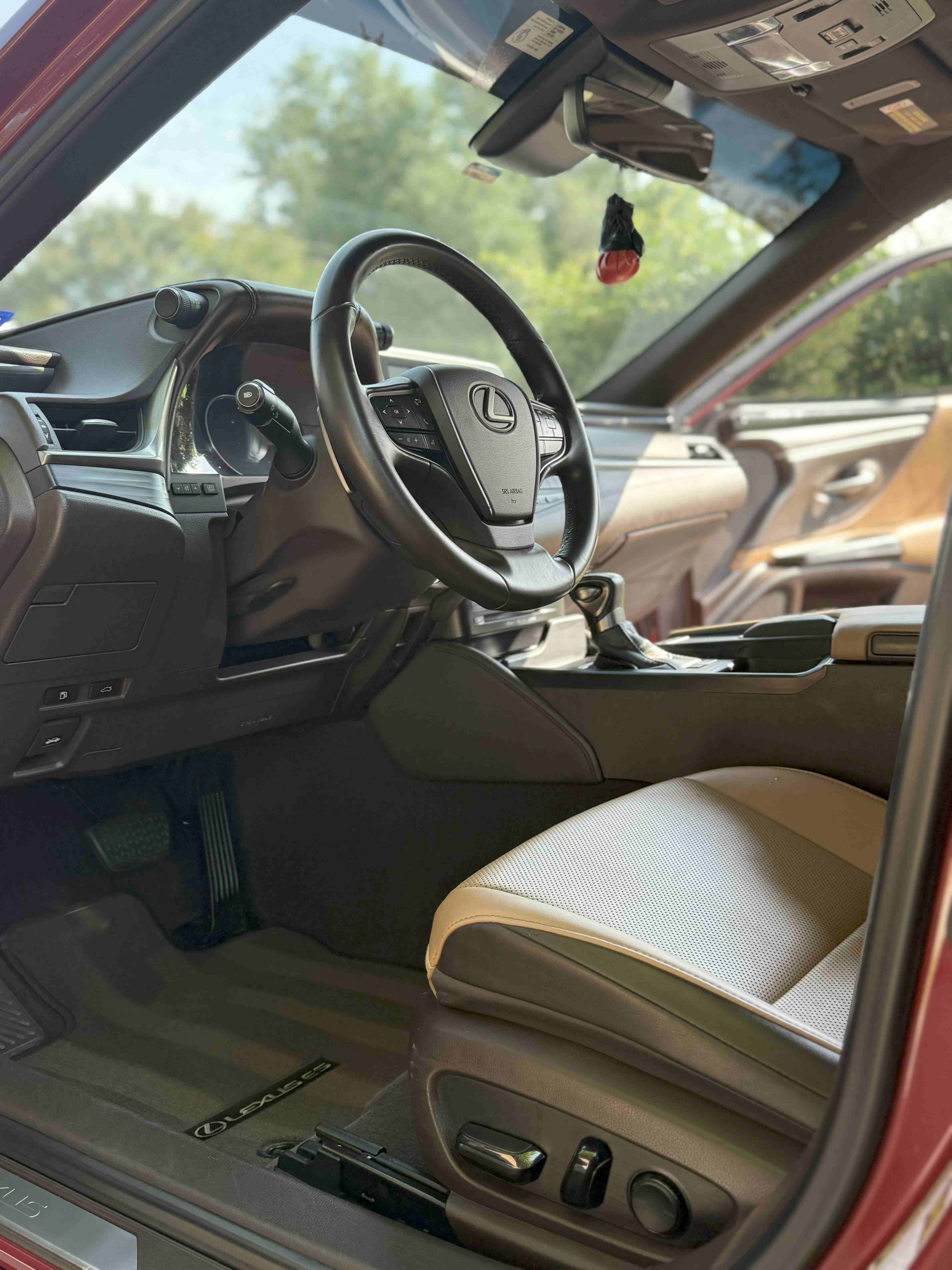 Lexus interior detailing Austin - premium leather seat conditioning and dashboard cleaning